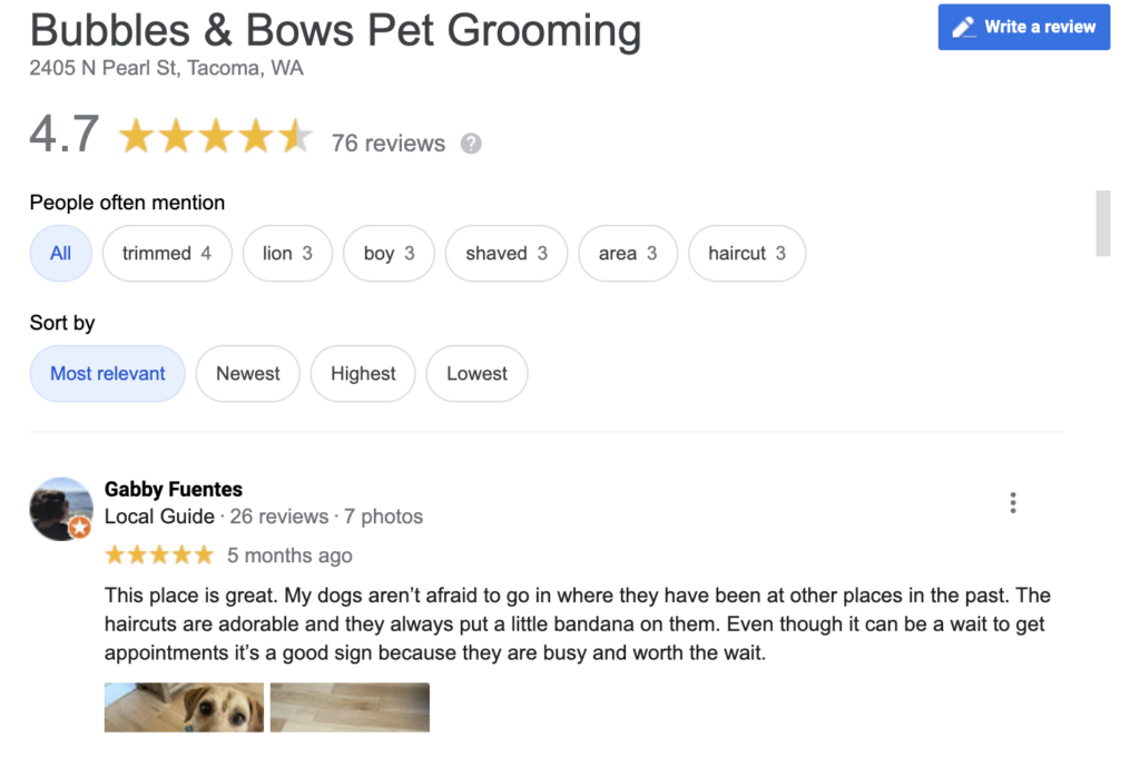 Pet groomer review